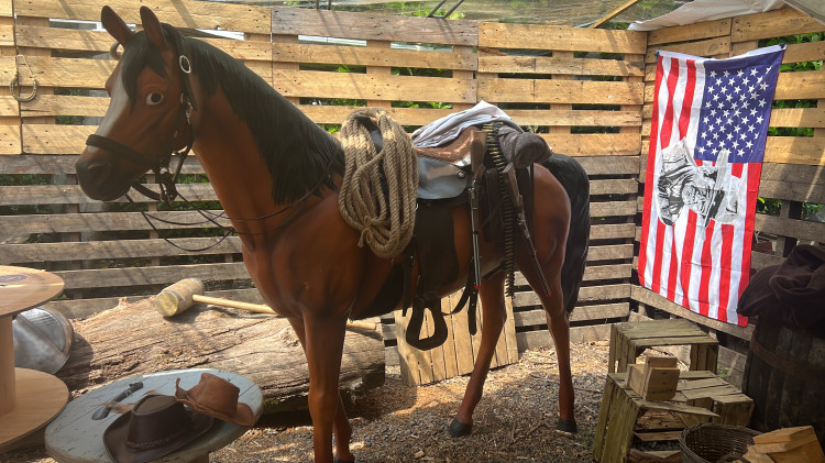 Cowboy Horse Cowboy Horse