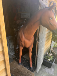 Cowboy Horse