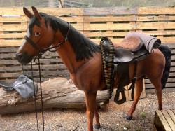 Cowboy Horse