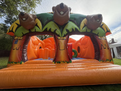 Beaver Bouncer